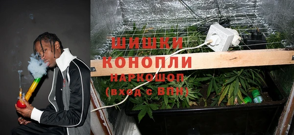молекула духа Заволжье