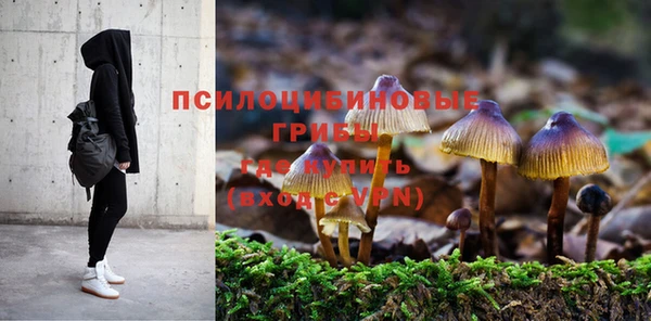 метадон Зеленодольск